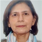 Profesor para Matemáticas, Química y Física y refuerzo para primaria